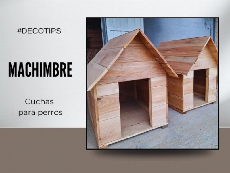 Machimbre